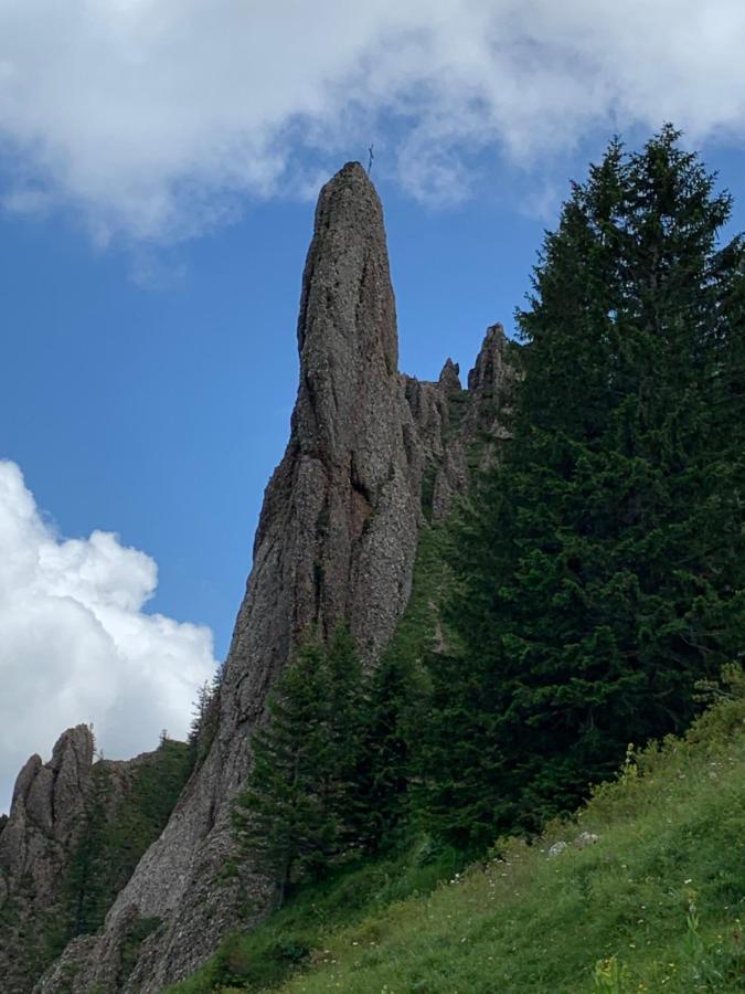 Ferienwohnung "Am Mittag" Blaichach Buitenkant foto
